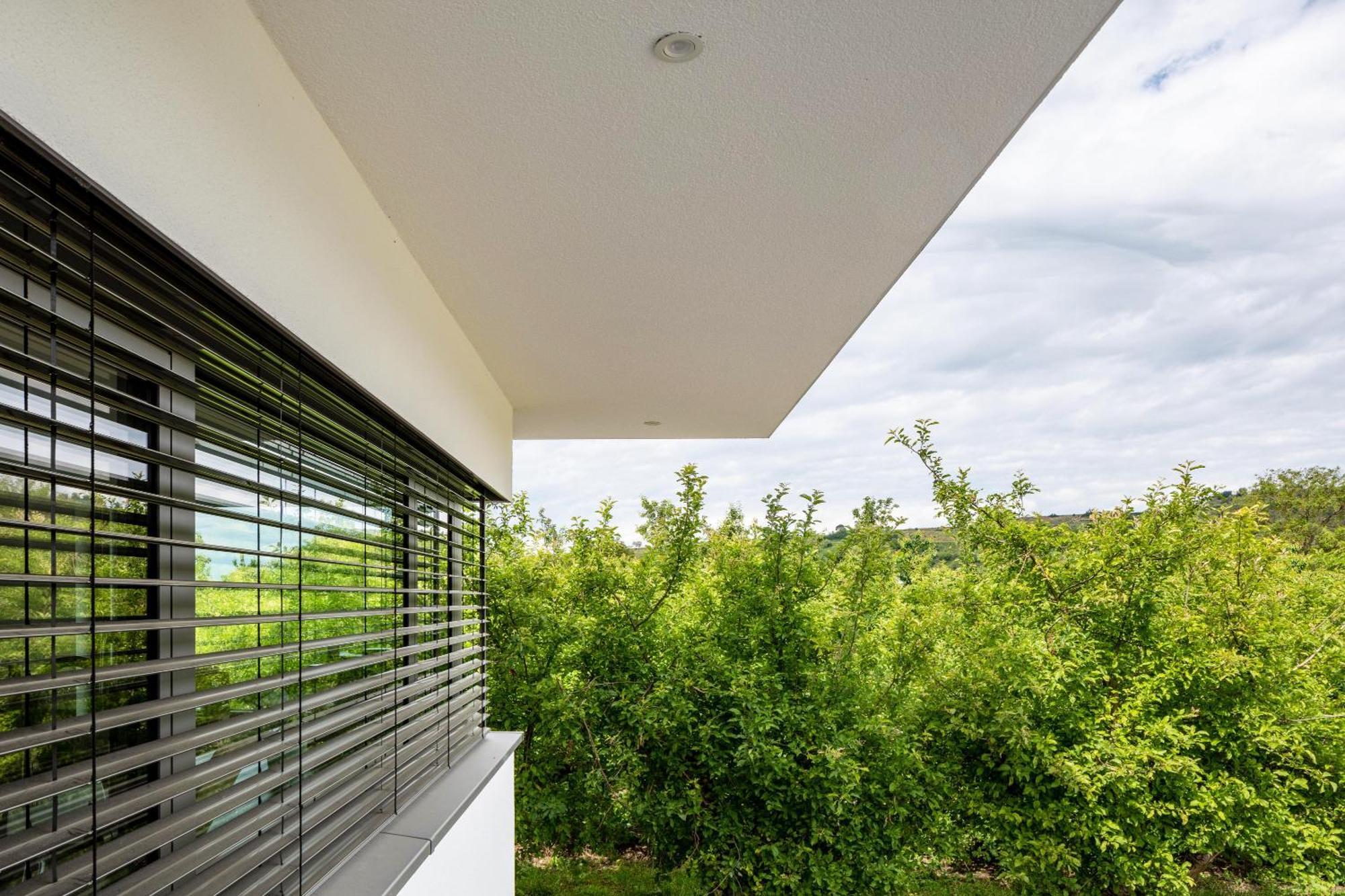 Ferienwohnung Im Obstgarten Ihringen Εξωτερικό φωτογραφία